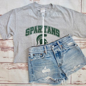 VINTAGE Michigan State University Zip Up Crop Tee (S)