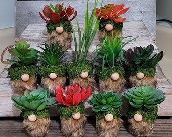 Faux Succulent Gnome