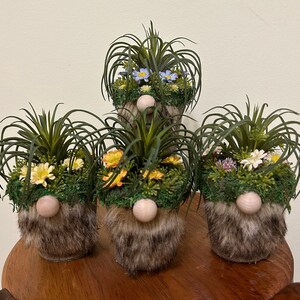 Könnte beinhalten: Drei kleine Topfpflanzen mit Kunstblumen und einem gnomartigen Gesicht auf jedem Topf. Die Pflanzen sind in braunen Töpfen mit einem pelzigen braunen Gesicht und einer weißen Nase.