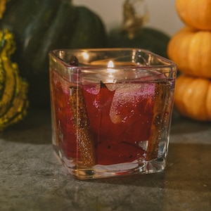 Fall Maple Leaves & Cinnamon Gel Candle