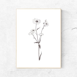 Daisy Flower Pencil Illustration Printable Art, Floral Large Bedroom Wall Art, Daisy Flower Print, Downloadable Prints, White flowers print