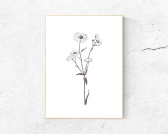 Ilustración de margarita a lápiz: Impresión artística para decoración de pared de dormitorio (descargable)