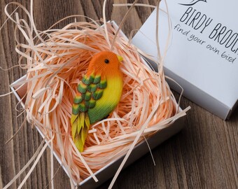 Polymer clay bird brooch pin Handmade bird jewelry Bird badge Animal brooch pin Birdy brooch Wildlife brooch jewelry Nature pin