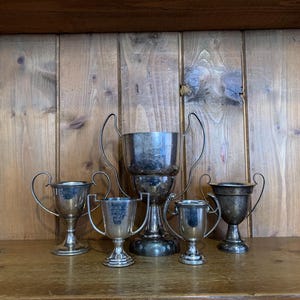 5 vintage trophies (15), silver plate trophies, trophy, trophies, sporting items, sports, cups, medals