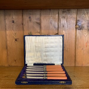 Knife Cased set of 6 cutlery knives/dessert knives, cutlery