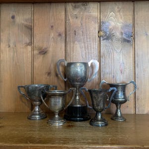 5 vintage trophies (5), silver plate trophies, trophy, trophies, sporting items, sports, cups, medals