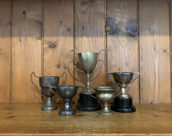 Vintage Collection of 5 Silver Plate NOT ENGRAVED Sporting Trophies ...