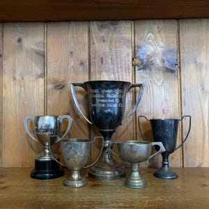 5 vintage trophies (14), silver plate trophies, trophy, trophies, sporting items, sports, cups, medals