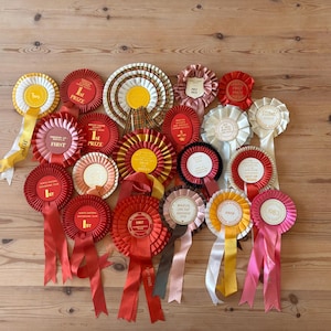 Op de afbeelding: Een verzameling van eenentwintig ronde stoffen prijzenrozetten in diverse kleuren, waaronder rood, wit, goud, roze en bruin. Elke rozet is voorzien van geplooide lintranden, een centrale schijf met gedrukte tekst en hangende linten.