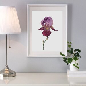 Impression d'iris aquarelle, fleur, affiche, carte postale, impression d'art, impression d'art végétal, impression d'art floral, carte postale florale, carte postale aquarelle