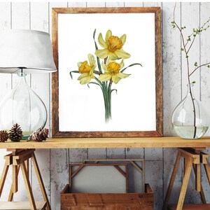 Imprimir acuarela narciso, flor, cartel, postal, impresión de arte, impresión de arte vegetal, impresión de arte floral, postal floral, postal de acuarela