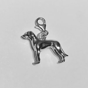 Può includere: Ciondolo in argento di un cane Rhodesian Ridgeback, in piedi con la testa girata a sinistra. Il ciondolo ha una chiusura a moschettone in argento.