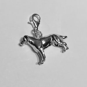 Labrador Silver Dog Charm