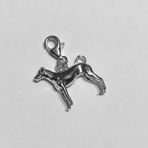 DOBERMAN SILVER CHARM - natur