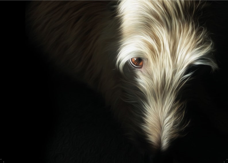 whippet greeting card birthday greyhound lurcher sighthound autumn art woods