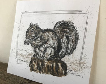 100 Animals, 100 Days: 88/100 The Grey Squirrel