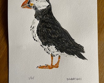 Puffin