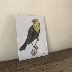 Yellow-headed Blackbird, 2018
