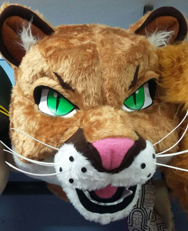 Tiger Mascot Costume Head Adult Animal Costume Head For Sale Etsy