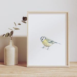 May include: A watercolor painting of a blue tit perched on a branch. The bird is depicted in shades of blue, yellow, and green, with a white background.