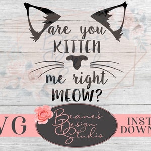 Ben je kitten me goed miauw SVG| Kattenliefhebber SVG design | Kat Moeder SVG | Leuke Kat Auto Decal Design | Cricut Cut Ontwerp