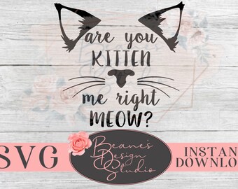 ¿Eres un gatito me miau correcto SVG / Amante de los gatos Diseño SVG / Cat Mom SVG / Lindo diseño de calcomanías para gatos / Diseño de corte Cricut
