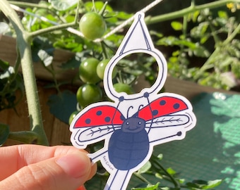 Ladybug on Lyra