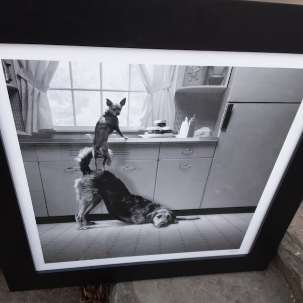 Vintage Howard Berman Phot, Busted, Depicting A Chihuahua and a Larger Dog Getting to the Burgers on the Counter, Dog Lover Gift