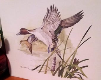 Vintage James Hautman Mallard Print: Signed & Numbered, Waterfowl