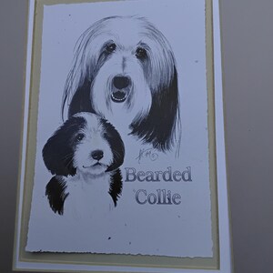 Vintage Bearded Collie and Puppy Art Print, Matted