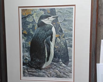 Vintage Robert Bateman Framed Signed Limited Edition Offset Lithograph Chinstrap Penquin #168/810, 1990s