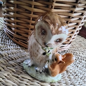 Beatrix Potter Old Mr Brown - Etsy