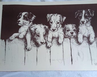 May include: A black and white ink illustration on paper depicting five puppies peering over a wooden fence. The puppies have varied facial markings and are rendered with detailed cross-hatching. The background is a solid dark block.