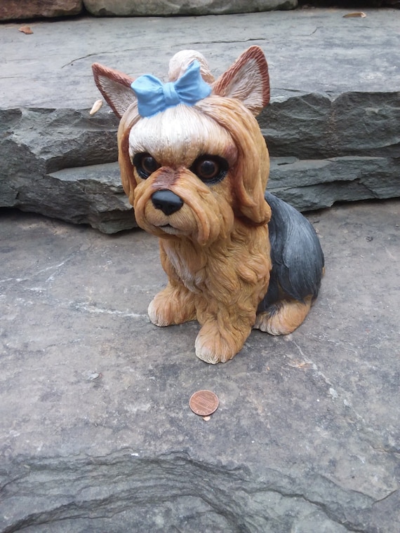 Large yorkshire cheap terrier
