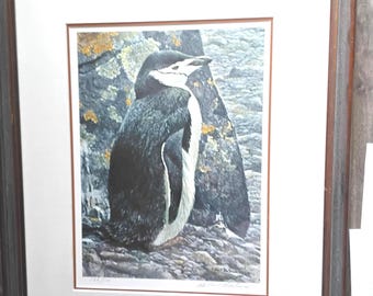 Vintage Robert Bateman Framed Signed Limited Edition Offset Lithograph Chinstrap Penquin #168/810, 1990s