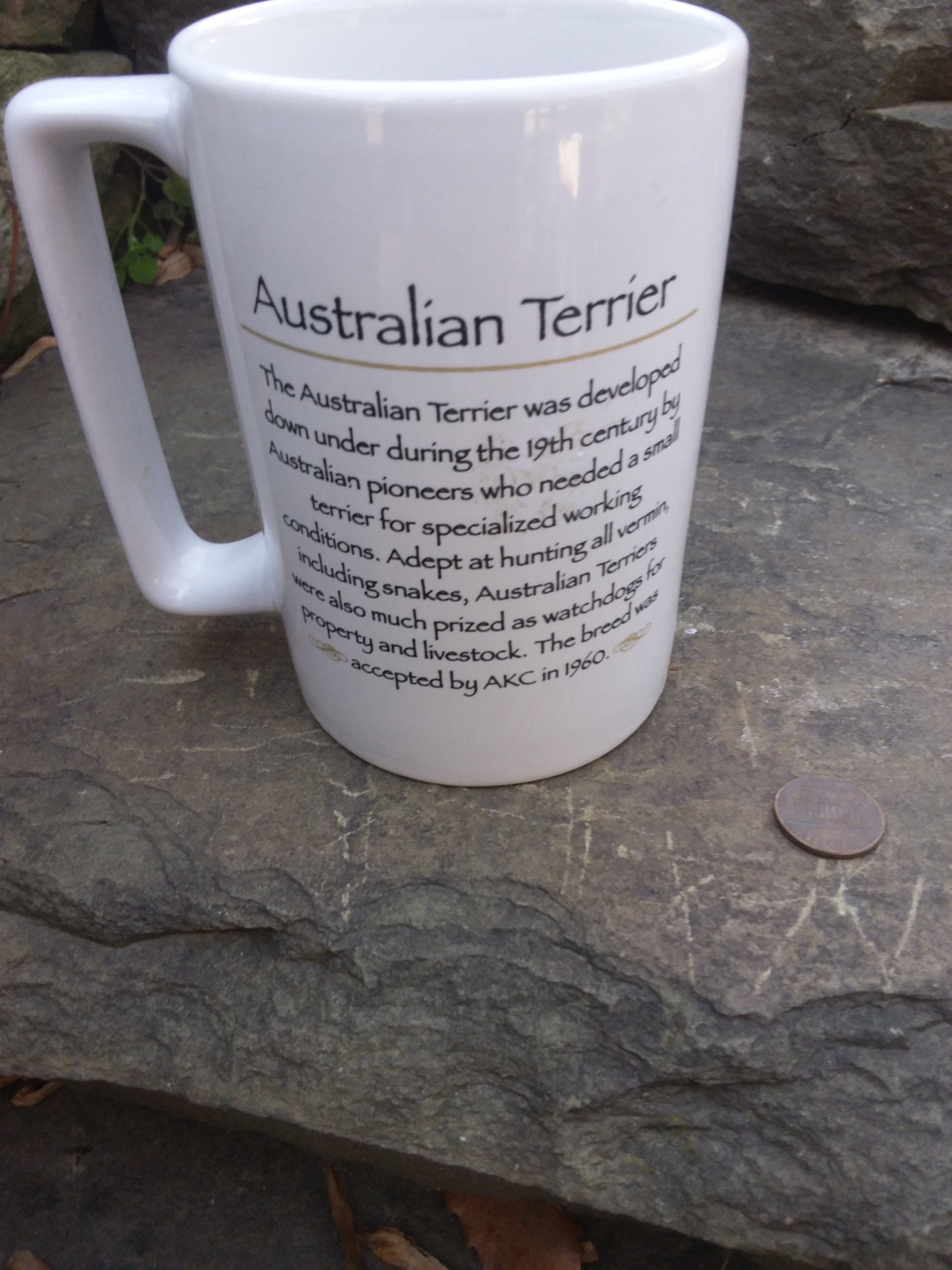Vintage Australian Terrier Mug by Artist Valdimir for Rosalinde, Hnad  Decorated Inusa - Etsy