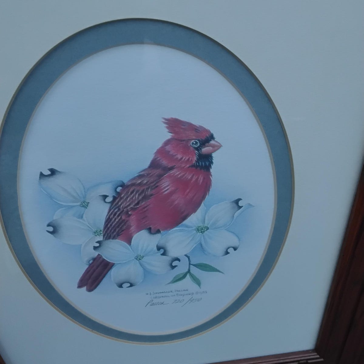 Vintage Nancy Shumaker Pallan Cardinal on Dogwood Art Print, Signed Numbered, Framed, 1988 - Etsy