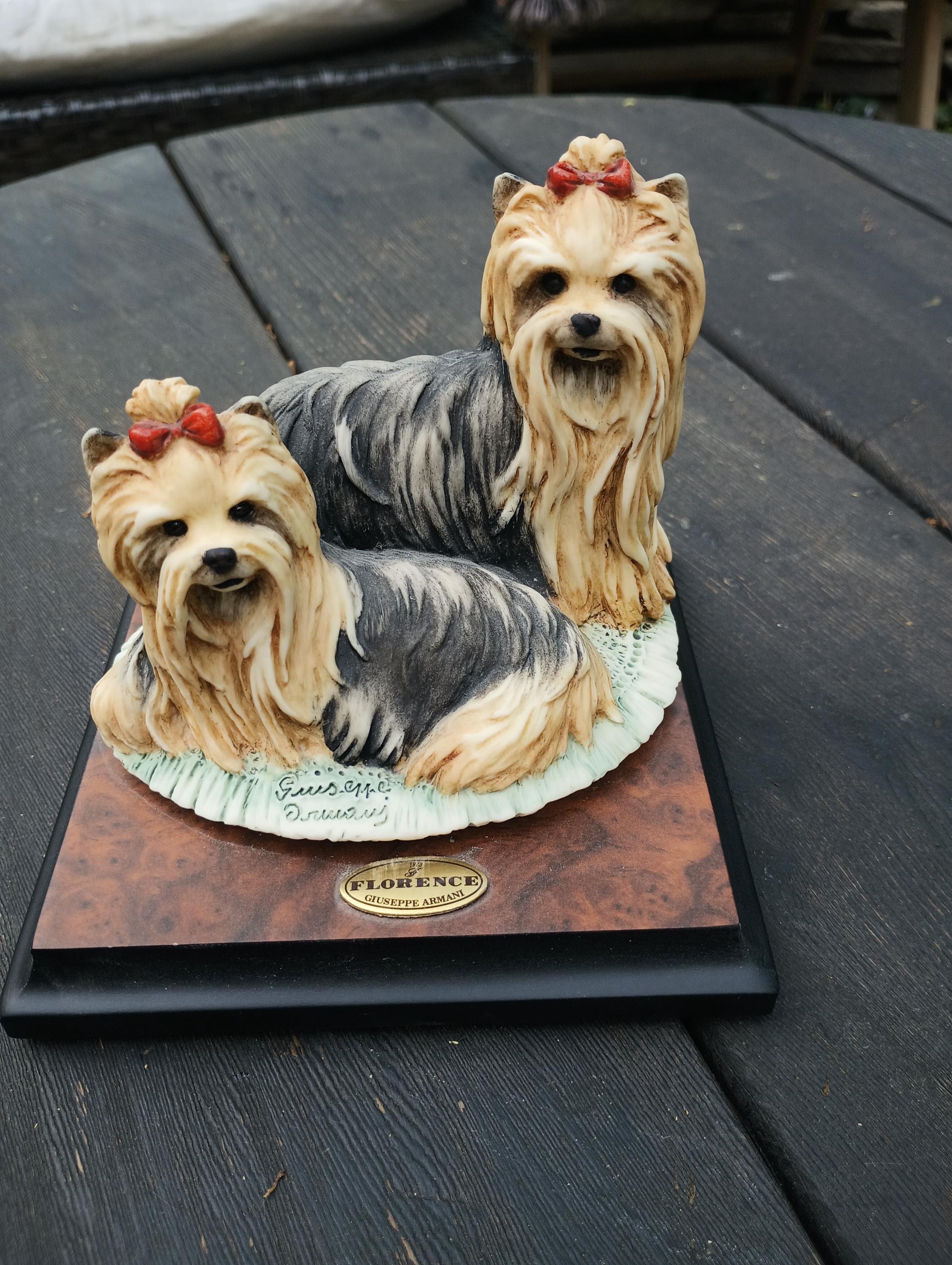 Armani Dogs - Etsy