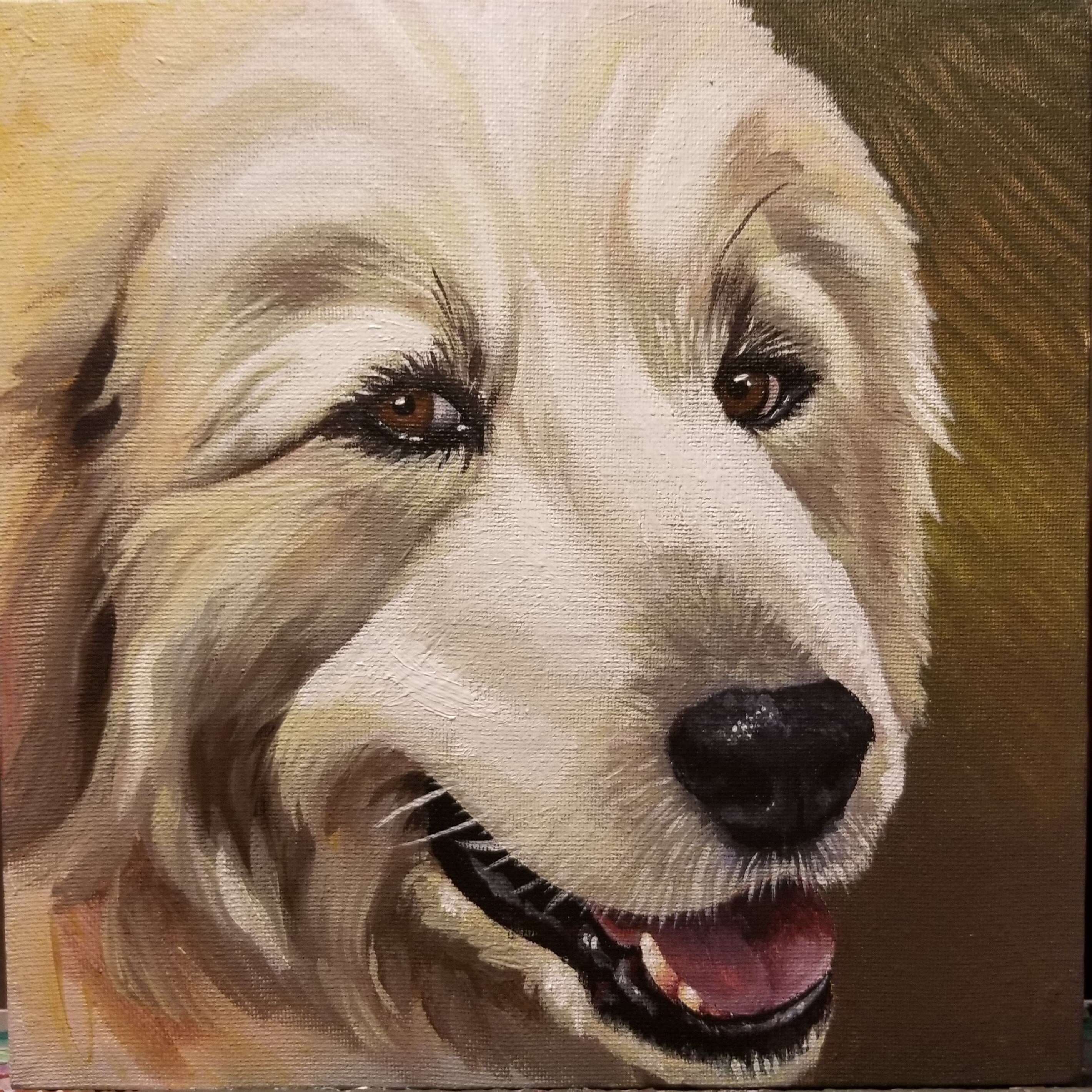 Custom Dog Portrait Acrylic Painting With Solid Color Background - Etsy