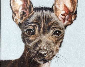 Custom Pet Portrait in Colored Pencil