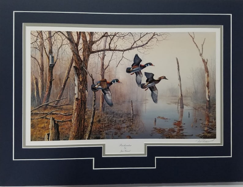 Matted Art Print Wood Duck 18 X 24 by Jim Hansel Titled Backwater Etsy