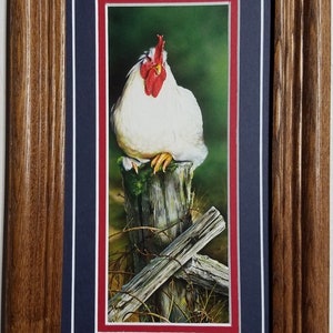 Framed in Oak 8 x 13 Chicken art print by Deb Bovy titled On the Roost