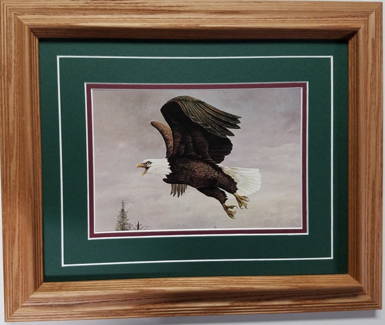 Framed in Solid Oak 14 X 17 Wildlife Eagle Art Print by Donald Etsy