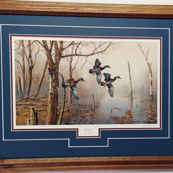 Framed in Oak matted 21 x 27 Wood ducks wildlife art print  by Jim Hansel titled Backwater