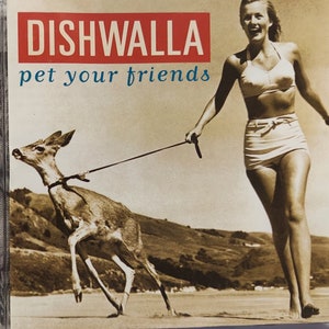 CD Used 1995 Vintage Alternative Rock Music by Dishwalla titled Pet Your Friends