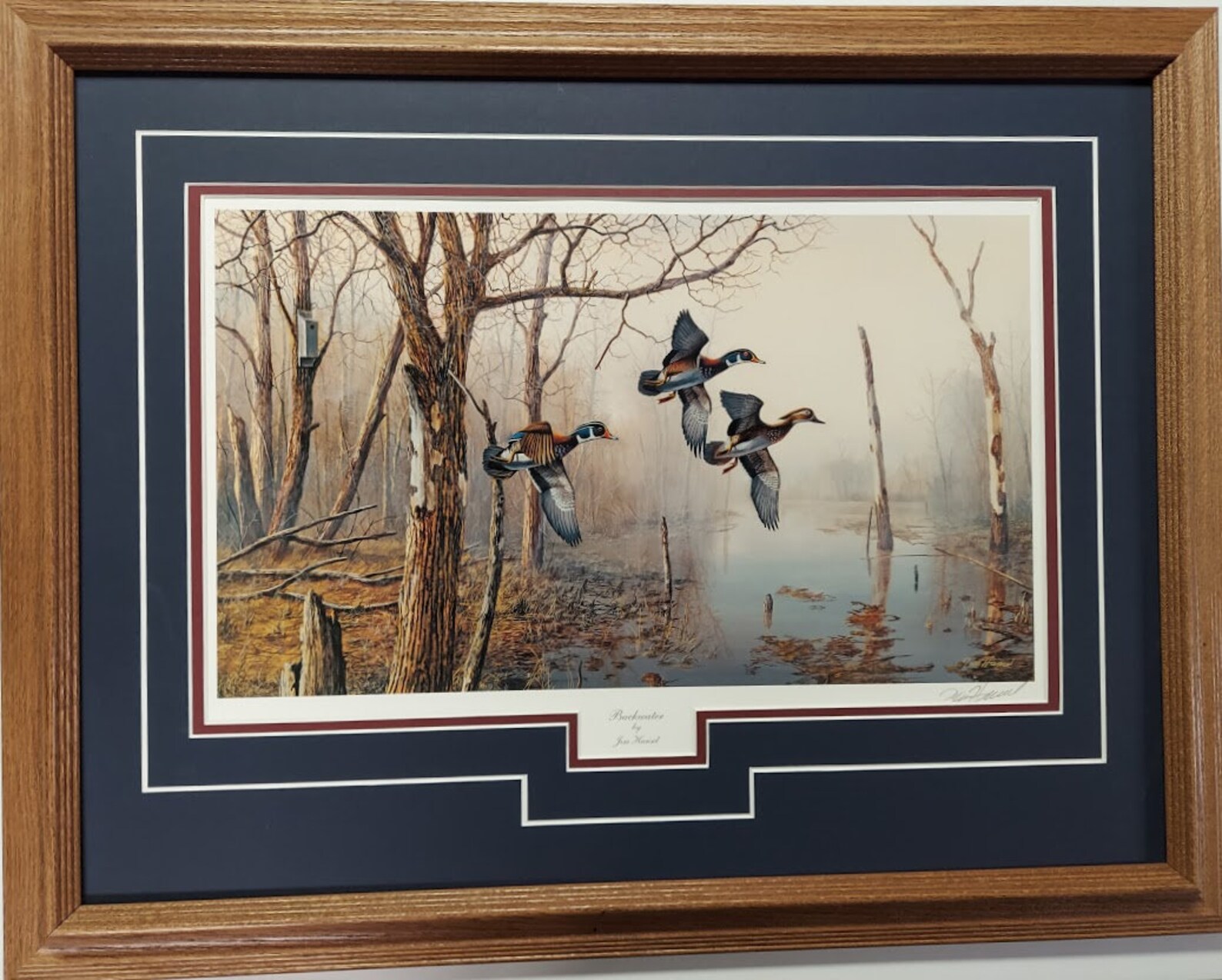 Framed matted 21 x 27 Wood ducks wildlife art print by Jim Etsy