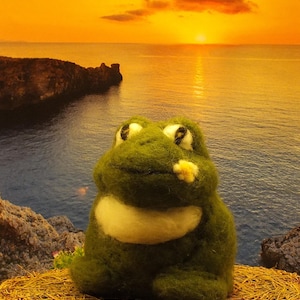 frog felted with sheep&#39;s wool