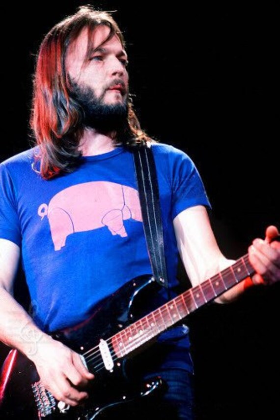 NEW IN Small Royal Blue Pink Floyd David Gilmour Pink Pig T shirt