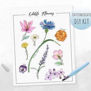 DIY Kit- Watercolor Edible Flowers Guide | Paint Kit