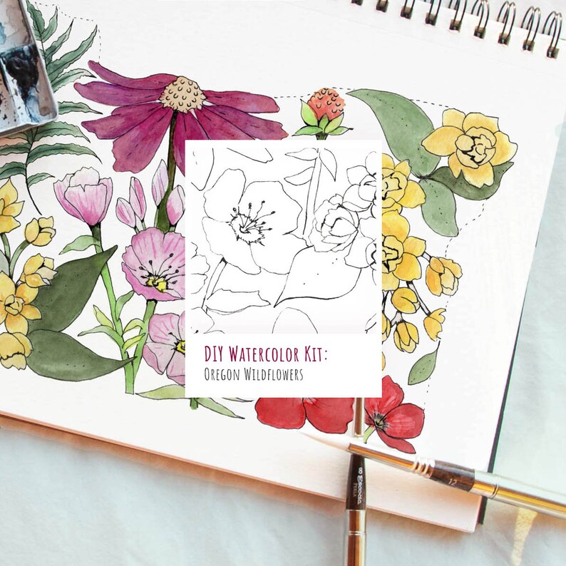 K&ouml;nnte beinhalten: Ein DIY-Aquarellset mit einem spiralgebundenen Skizzenbuch, das eine florale Illustration von rosa, roten und gelben Wildblumen zeigt. Ein wei&szlig;es Quadrat in der Mitte zeigt eine schwarz-wei&szlig;e Strichzeichnung von Blumen mit dem Text DIY Watercolor Kit: Oregon Wildflowers.